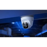 Reolink RP-PCT8M, slimme 4K/8MP PoE-beveiligingscamera met IR- & kleurennachtzicht Wit