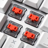 Sharkoon PureWriter RGB mechanisch gaming toetsenbord Wit, US lay-out (QWERTY), Kailh Choc Low Profile Red, 100%, RGB leds