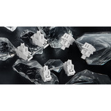 Hator Rockfall 3 TKL Wireless, gaming toetsenbord Wit, US lay-out, HATOR Aurum Orange, RGB, PBT keycaps, Hotswap, 2.4 GHz / Bluetooth / USB-C