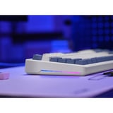 Trust GXT 872 Xyra Mechanisch TKL-gamingtoetsenbord, gaming toetsenbord Wit, US lay-out, Leobog Seiya, 80% (TKL), RGB, hot swap