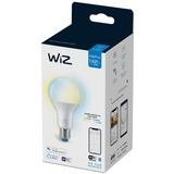 WiZ Lamp A67 E27 ledlamp Wifi + Bluetooth protocol