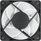ARCTIC P12 Pro A-RGB case fans Zwart, 3 stuks, 120 x 120 x 25 mm, PWM