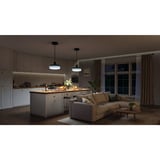 Govee Pendant Light verlichting Zwart