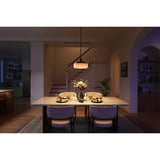 Govee Pendant Light verlichting Zwart