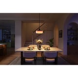 Govee Pendant Light verlichting Zwart