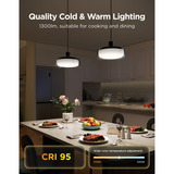 Govee Pendant Light verlichting Zwart