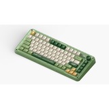 Iqunix ZX75 Camping Wireless Mechanical Keyboard Groen, US lay-out (QWERTY), Cherry MX Brown, 75%, RGB leds, Hot-swappable, Double-shot PBT, 2.4GHz | Bluetooth 5.1 | USB-C
