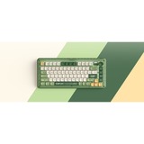 Iqunix ZX75 Camping Wireless Mechanical Keyboard Groen, US lay-out (QWERTY), Cherry MX Brown, 75%, RGB leds, Hot-swappable, Double-shot PBT, 2.4GHz | Bluetooth 5.1 | USB-C