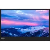 Lenovo L15 15.6" monitor Zwart, USB-C