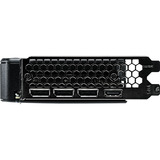 Palit GeForce RTX 5060 Dual grafische kaart DLSS 4, 3x DisplayPort, 1x HDMI 2.1