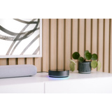 Athom Homey Pro (2026) Basisstation + Energy Dongle + Ethernetadapter set Zwart