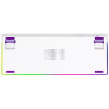 LORGAR KBP70TKLW RGB mechanisch gaming toetsenbord Wit, US lay-out (QWERTY), LOGAR Toxic Purple, 80% (TKL)	, RGB, Hot-swappable, PBT Double-shot, Bluetooth | 2.4GHz | USB