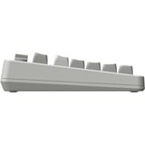 8BitDo Retro Mechanical Keyboard M Edition Grijs, US lay-out (QWERTY), Kailh Box White, 80% (TKL)	, Bluetooth Low Energy, Wireless 2.4G, USB