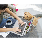 ASUS Vivobook 14 M1407GA-LY012W 14"  Copilot+ laptop Zilver | Ryzen 7 445 | Radeon 840M | 16 GB | 512 GD SSD