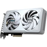 GIGABYTE GeForce RTX 5060 EAGLE OC ICE 8G grafische kaart 3x DisplayPort, 1x HDMI, DLSS 4