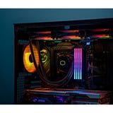 KLEVV CRAS V RGB 31.912109375 GB DDR5-6000 (2x 15.9560546875 GB) werkgeheugen Zwart, KD5AGUA80-60A300G, XMP, EXPO