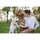 Shokz OpenDots 2 bone conduction headset Wit, Bluetooth® 6.1