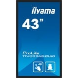 iiyama ProLite TF4339AS-B1AG 42.5" Public Display Zwart (mat), Touch, HDMI, DisplayPort, LAN, USB, Audio