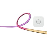 Philips Hue Starterkit - Play gradient lightstrip voor pc - 24/27" led strip Zwart/wit, 2000-6500K, RGB en wit