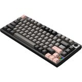 HelloGanss HS75T GC02 RGB mechanisch toetsenbord Zwart, US lay-out (QWERTY), Gateron Yellow, 75%, RGB leds, PBT Doubleshot keycaps, hot swap, 2,4 GHz | Bluetooth | USB-C