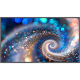 Philips Signage 2000 43BDL2050A 42.5" 4K Ultra HD Public Display Zwart
