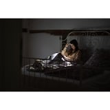 Ledlenser Hoofdlamp H5R Core ledverlichting Zwart, 500 lm, 6000 - 7500K