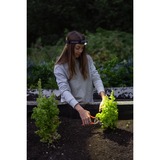 Ledlenser Hoofdlamp H5R Core ledverlichting Zwart, 500 lm, 6000 - 7500K