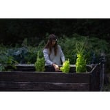 Ledlenser Hoofdlamp H5R Core ledverlichting Zwart, 500 lm, 6000 - 7500K