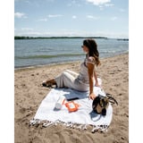 Whoosh! Screen Shine Wipes (70 stuks) reinigingsdoek Wit/oranje