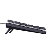 Trust GXT 866 Torix Hoogwaardig mechanisch gaming-toetsenbord, gaming toetsenbord Zwart, US lay-out, Huano Red, RGB