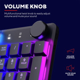 Trust GXT 866 Torix Mechanisch Gaming Toetsenbord  Zwart, US lay-out, Huano Red, met RGB-verlichting