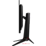 ASUS ROG Swift OLED PG32UCDMZ 32" 4K UHD gaming monitor Zwart, 2x HDMI, DisplayPort, 3x USB-A, USB-C, 240 Hz