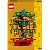 LEGO Iconic - Geldboom Constructiespeelgoed 40648