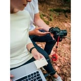 Samsung Portable T7 Shield, 2 TB externe SSD Beige, MU-PE2T0K/EU, USB-C 3.2 Gen 2 (10 Gbit/s)