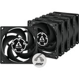 ARCTIC P8 PWM PST Value Pack case fan Zwart, 80 x 80 x 25 mm