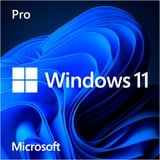 Microsoft Windows 11 Pro (Engelstalig) Systembuilder software Engels