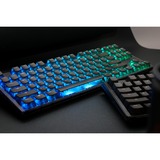 Ducky One 3 TKL Aura, toetsenbord Zwart, US lay-out, Cherry MX Blue, ABS Double Shot, hot swap
