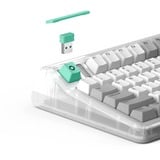 Iqunix OG80 Wormhole Wireless Mechanical Keyboard Grijs, US lay-out (QWERTY), IQUNIX Moonstone, 80% (TKL)	, RGB leds, Hot-swappable, PBT, 2.4GHz | Bluetooth 5.1 | USB-C