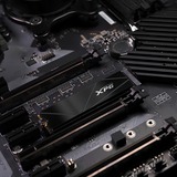 ADATA XPG GAMMIX S50 Core 2.0 TB SSD Zwart, PCIe 4.0 x4, NVMe 1.4, M.2 2280