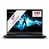 Erazer Beast X40 MD62611 17"  gaming laptop Zwart | i9-14900HX | RTX 4080 | 32 GB | 1 TB SSD