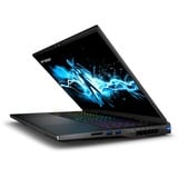 Erazer Beast X40 MD62611 17"  gaming laptop Zwart | i9-14900HX | RTX 4080 | 32 GB | 1 TB SSD