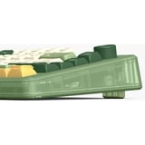 Iqunix ZX75 Camping Wireless Mechanical Keyboard Groen, US lay-out (QWERTY), Cherry MX Silent Red, 75%, RGB leds, Hot-swappable, Double-shot PBT, 2.4GHz | Bluetooth 5.1 | USB-C