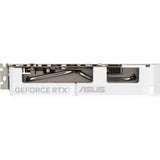 ASUS GeForce RTX 5060 DUAL OC WHITE 8GB grafische kaart Wit, DLSS 4, 3x DisplayPort, 1x HDMI 2.1