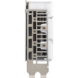 ASUS GeForce RTX 5060 DUAL OC WHITE 8GB grafische kaart Wit, DLSS 4, 3x DisplayPort, 1x HDMI 2.1