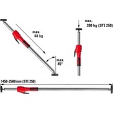 BESSEY Plafond‑ en montagesteun STE250 met pompgreep Zilver/rood