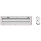 Qware Waterford draadloze combo desktopset Roze, EU lay-out (QWERTY), Membraan, 100%, 1500 DPI