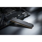 KLEVV 32 GB DDR5-5600 (2x 16 GB) Kit werkgeheugen Zwart, KD5AGU880-56K300L, FIT V, XMP 3.0, EXPO