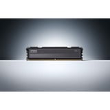 KLEVV 32 GB DDR5-5600 (2x 16 GB) Kit werkgeheugen Zwart, KD5AGU880-56K300L, FIT V, XMP 3.0, EXPO