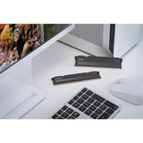 KLEVV FIT V 32 GB DDR5-5600 (2x 16 GB) werkgeheugen Zwart, KD5AGU880-56K300L, XMP 3.0, EXPO