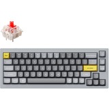 Keychron Q2-D1, toetsenbord Grijs, US lay-out, Gateron G Pro Red, RGB leds, 65%, PBT, hot swap